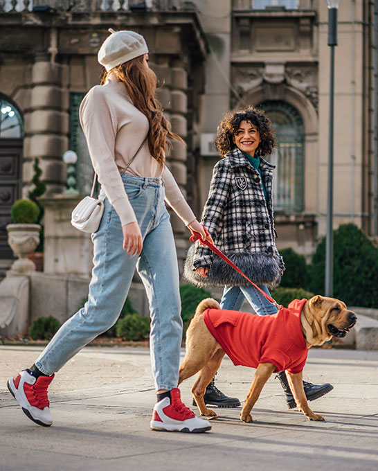 Young cheerful women friends walking a shar-pei dog in the city